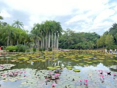 -中国科学院西双版纳热带植物园