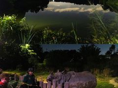 -新加坡飞禽公园