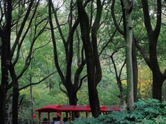 -上海共青森林公园