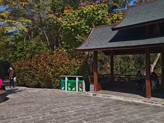-野象谷景区