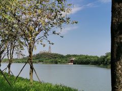 -顺峰山公园