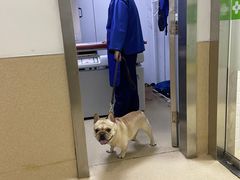 -爱侣宠医·鹦鹉专科·小型哺乳类·异宠专科(灵石路店)