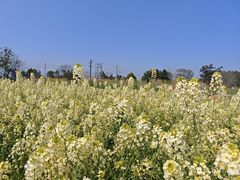 -白鹭湾湿地公园