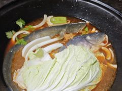 -肥鱼屯活鱼锅(惠工街店)