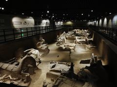 -洛阳周王城天子驾六博物馆