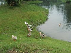 -两河城市森林公园