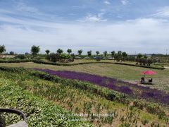 -丹世红酒庄·烧烤·团建·婚礼·水上运动