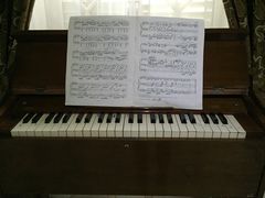 -龙环葡韵住宅式博物馆