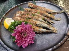 -弓二·烧鸟居酒屋(财富购物中心店)