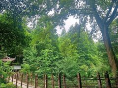 -凤栖山
