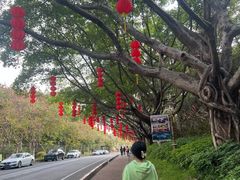 -广州莲花山旅游区