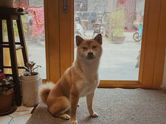 -About Bistro關於·泰式家庭料理