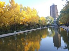 -玲珑塔公园