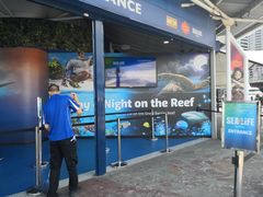 -悉尼海洋生物水族馆