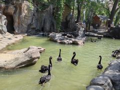 -燕塞湖鸟语林景区