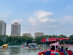 -团结湖公园