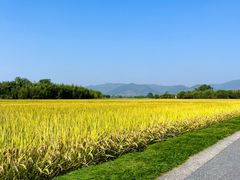 -良渚古城遗址公园