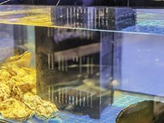 -珍宝轩海鲜火锅(碧湖大厦店)