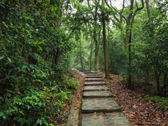 -岳麓山风景名胜区