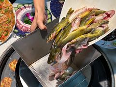 -米氏火鱼·泡椒鱼火锅(李子坝老店)