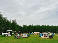 -黄海国家森林公园