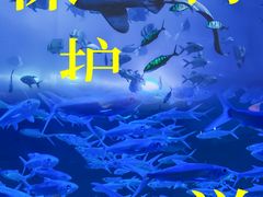 -正佳极地海洋世界