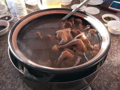 鸽子火锅-皇鸽餐厅(龙塘店)