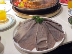 -二荆条·城市森林火锅旗舰店