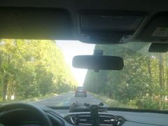 -黄海国家森林公园