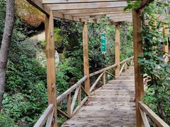 -大岭沟猕猴桃谷风景区