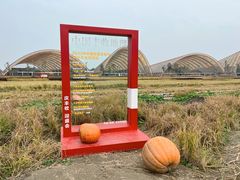 -中国天府农业博览园