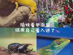 -正佳雨林生态植物园