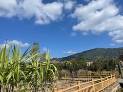 -云水谣景区