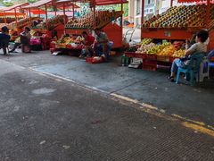 -新鸿港水果市场