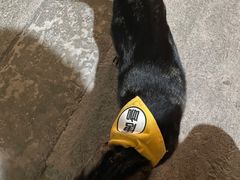 -唐咖精品咖啡(大理古城手冲店)