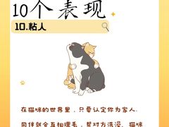 -荔康动物医院(康王北路店)