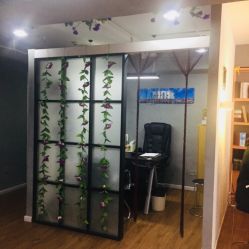 -章光101防脱养发荟