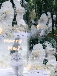 -迈瑞米求婚策划(静安店)