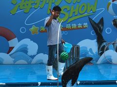 -沈阳方特欢乐世界