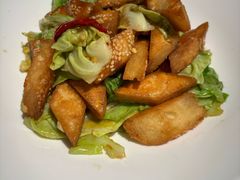-新疆兵团食府清真(马连道店)
