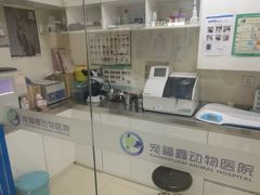 -宠福鑫动物医院(立水桥分院)