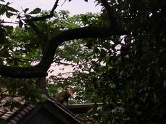 -杭州半山国家森林公园