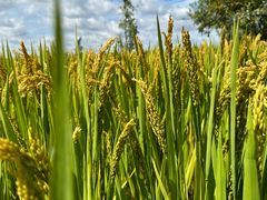 -稻梦空间冰雪小镇