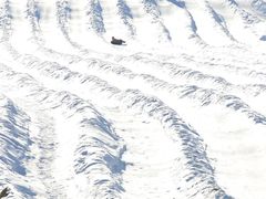 -丝绸之路山地度假区滑雪场