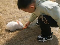 -合肥滨湖国家森林公园