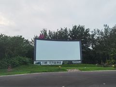 -枫花园汽车电影院(朝阳公园店)