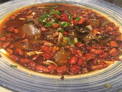 -院8里·少城记忆老川菜(宽窄巷子店)