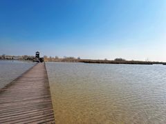 -盐城丹顶鹤湿地生态旅游区