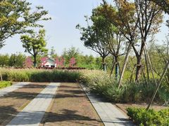 -春花秋色城市公园