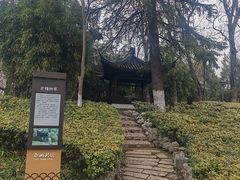 -泰州凤城河风景区-泰山公园